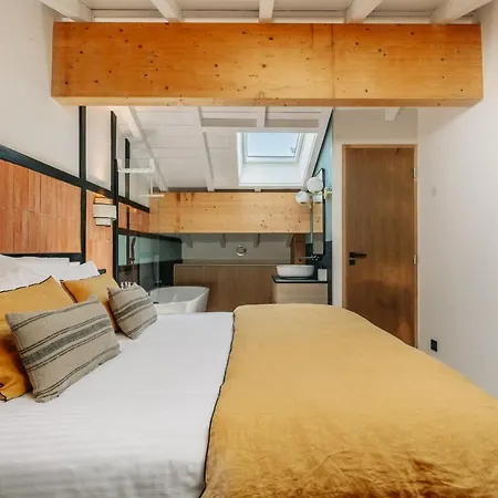 فيلة Horizonte - بياريتز