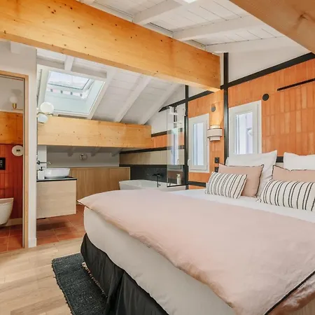 فيلة Horizonte - *